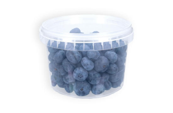 Image de POTS + COUV. 565ml 118mm(290pcs)