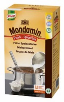 Image de MONDAMIN MAIZENA KNORR 2.5KG