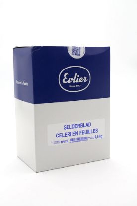 Image de CELERI EN FEUILLES EVLIER 0.5KG