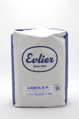 Image de LIANTA "DS" EVLIER 5KG