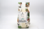 Image de OIGNONS EN POUDRE VAN HEES 1KG